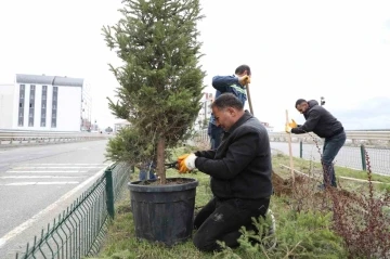 Kars’ta refüjler yeşilleniyor
