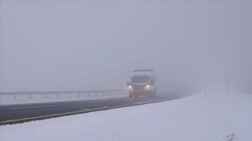 Kars ve Ardahan'da sis ulaşımı aksattı