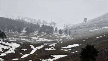 Kars'ın yüksek kesimlerinde kar yağışı devam ediyor.Kars'ta kar yağışı etkili oluyor