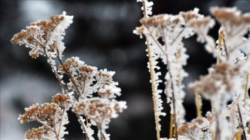 Kars'ta kar, Erzurum ve Ardahan'da soğuk hava etkili oluyor