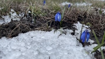 Kars'ta kar yağışıyla köyler beyaza büründü