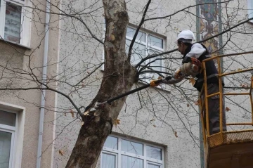 Kartal’da Bahara hazırlık için binlerce ağaç budandı
