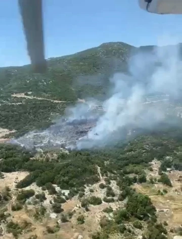 Kaş’ta orman yangını
