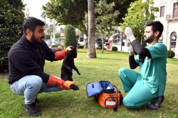 Kaşlı Bakımevi binlerce &quot;Can Dostun&quot; yaşamına dokundu
