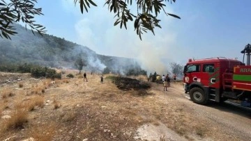 Kaş'ta zeytinlik alanda çıkan yangın söndürüldü