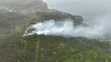 Kastamonu’da orman yangını: Ekiplerin müdahalesi sürüyor
