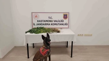 Kastamonu’da uyuşturucu operasyonu: 3 gözaltı
