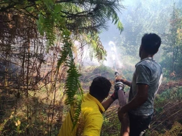 Kastamonu’daki orman yangını büyümeden söndürüldü
