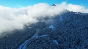 Kastamonu'da kar ve sisle buluşan ormanlar dronla görüntülendi