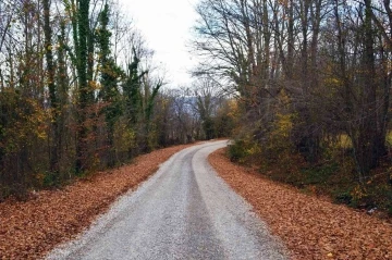 Kavak ilçesindeki köye ulaşım sorunu çözüldü
