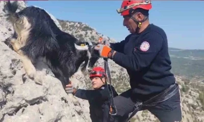 Kayalıklarda mahsur kalan keçiler 4 gün sonra kurtarıldı
