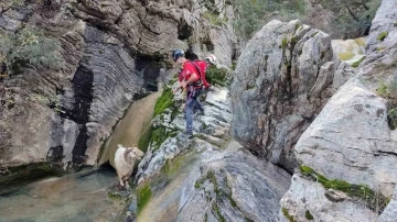 Kayalıklarda mahsur kalan keçiyi AKUT ekibi kurtardı
