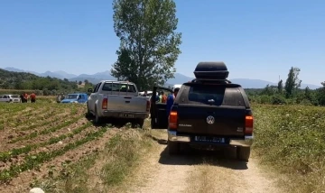 Kayıp yaşlı kadın mısır tarlasında ölü olarak bulundu
