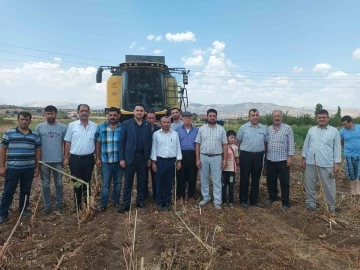 Kaymakam Seyhan ayçiçeği hasadına katıldı
