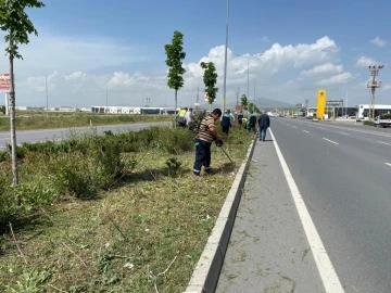 Kayseri’de Yabancı Otlarla Mücadele
