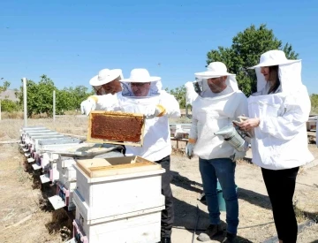 KAYÜ’de bal hasadı gerçekleştirildi
