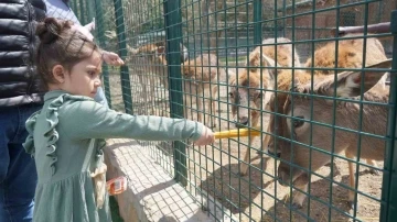 Keçiören Belediyesi Doğal Yaşam Parkına yoğun ilgi
