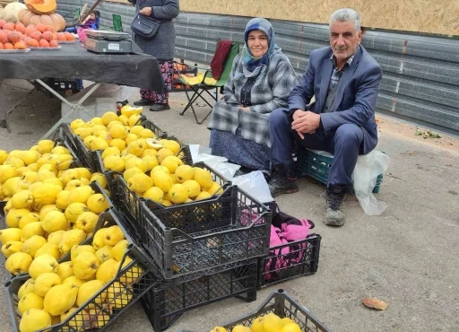 Kendi bahçesinde yetiştirdikleri ayvaları satarak 7 çocuk okuttular
