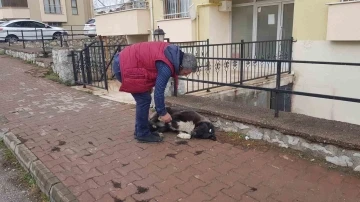 Kendisine iki gün yiyecek veren esnafa vefasını böyle gösteriyor
