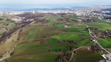 Kentsel Dönüşüm Başkanlığı Samsun’da 314 arsayı satışa çıkarıyor
