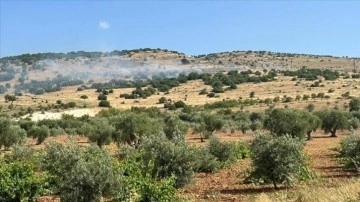 Kilis'te çıkan orman yangınına müdahale ediliyor