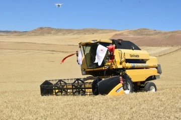 Kırıkkale’de çiftçilerin hasat mesaisi başladı
