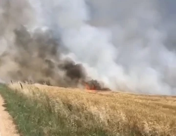 Kırklareli’de 90 dönümlük buğday tarlası küle döndü
