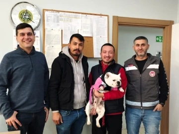 Kırklareli’de kaybolan köpek çip sayesinde bulundu
