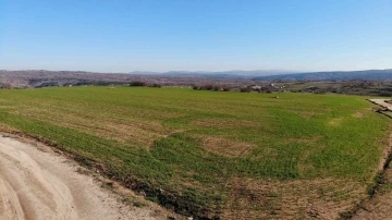 Kırklareli’de son yağışlarla buğday tarlaları yeşillendi
