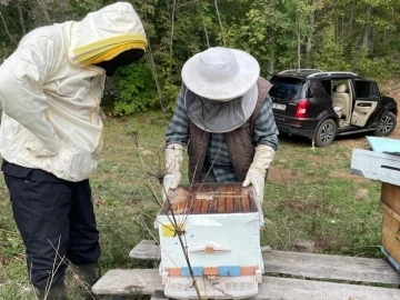 Kırklareli’nde arı kovanları denetlendi
