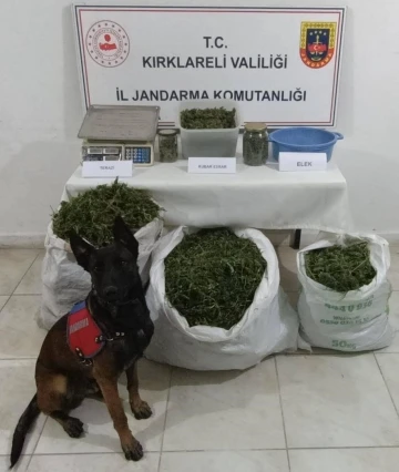 Kırklareli’nde bir evden 22 kilo esrar çıktı
