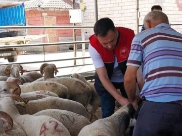 Kırklareli’nde kurbanlık hayvan satış yerleri denetlendi
