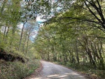 Kırklareli’nde ormanlara giriş 177 gün süreyle yasaklandı
