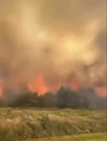 Kızılırmak nehri yatağındaki örtü yangını söndürüldü
