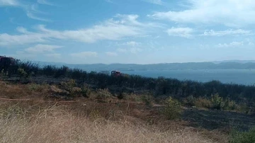 Kocaeli’de çıkan orman yangını söndürüldü
