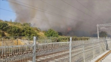 Kocaeli'de orman yangınına müdahale ediliyor