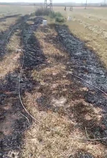 Konya’da kopan elektrik telleri tarlada yangın çıkardı
