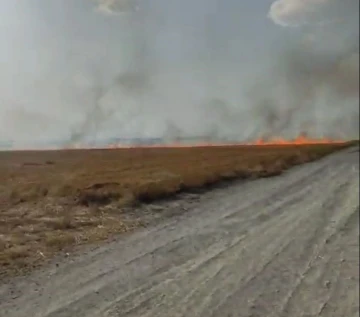 Konya’da tarlada çıkan anız yangını söndürüldü
