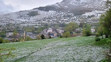 Kop Dağı’nda kar yağışı ve sis etkili oldu