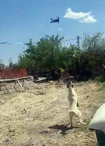 Köpeğin dron ile imtihanı gülümsetti
