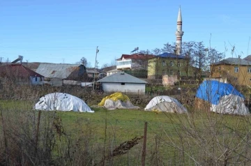 Köpeklerin yaşlı kadına saldırı anı güvenlik kamerasına böyle yansıdı
