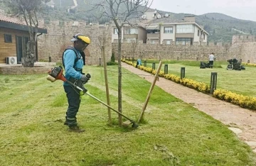 Körfez’de yabani otlar temizleniyor
