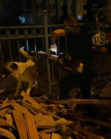 Korkuluklarda sıkışan köpeği itfaiye kurtardı
