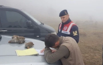 Koruma altındaki keklikleri vurdular, cezadan kaçamadılar
