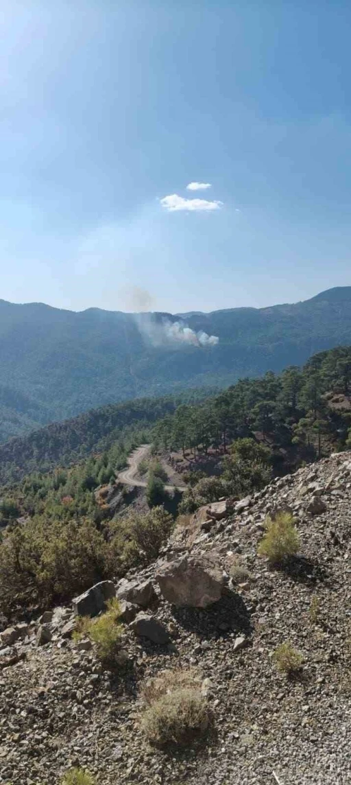 Köyceğiz’de orman yangını
