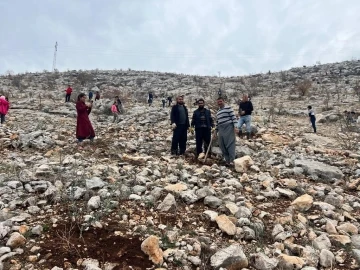 Köylülerin 3 yıldır süren ağaçlandırma seferberliği