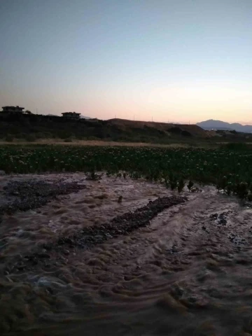 Kozluk’ta su kanalı patladı, tütün tarlası su altında kaldı
