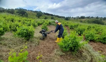 Kulp’ta bağcılıkta çapa makinesi dönemi
