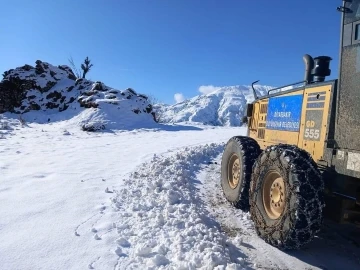 Kulp’ta kar nedeniyle kapanan yollar açıldı
