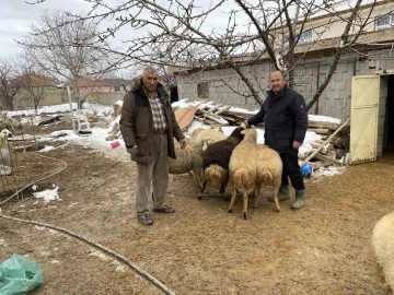 Kulu’da küçükbaş hayvan sahiplerinden depremzedeler yardım
